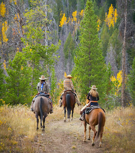 Riding in fall colors at C Lazy U in Colorado Equitrekking